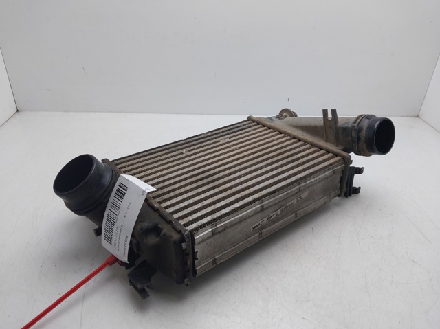 Enfriador de aire de admisión para Renault Scenic IV (R9)
