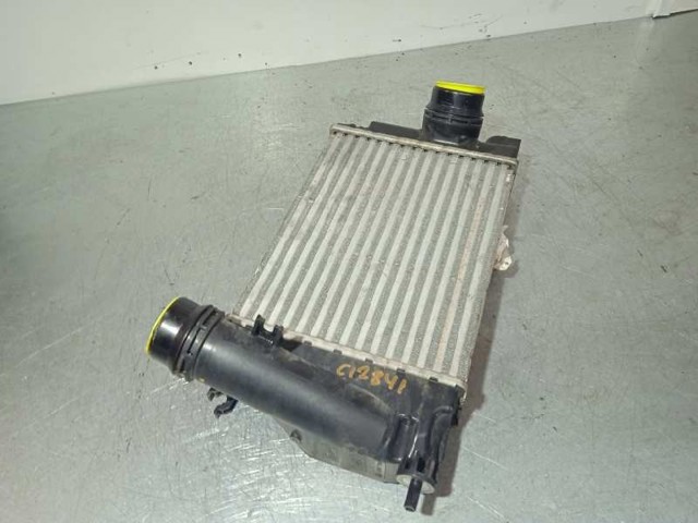 RENAULT 144614EA1B Intercooler  en stock Salamanca