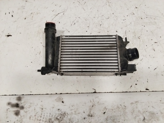 Radiador de aire de admisión Nissan Micra  desde 115,65 €