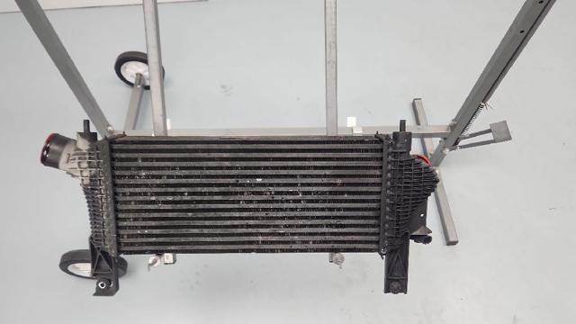 NISSAN 144615X00A Intercooler  comprar en Albacete