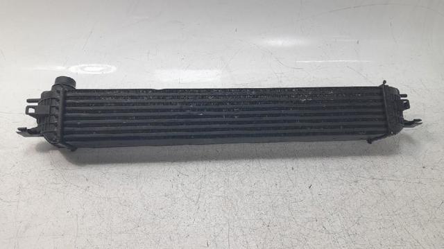 RENAULT 144960001R Intercooler  comprar en Ponferrada