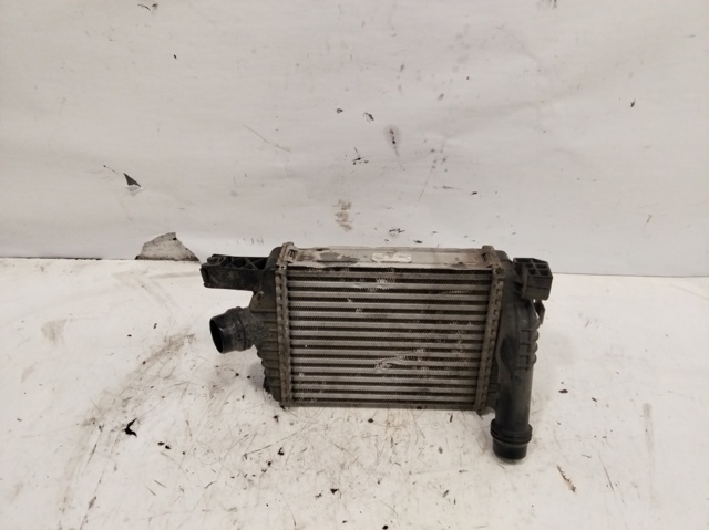 144961381R RENAULT Intercooler  en stock Córdoba