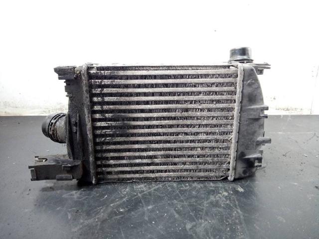 RENAULT 144963014R Intercooler  en stock Salamanca