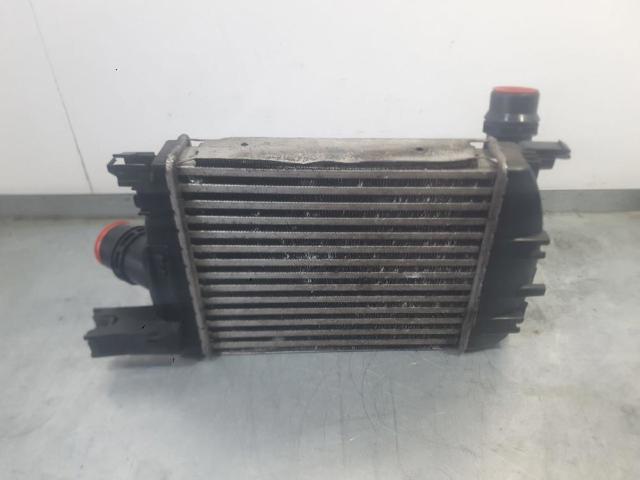 RENAULT 144963014R Intercooler  comprar en Murcia