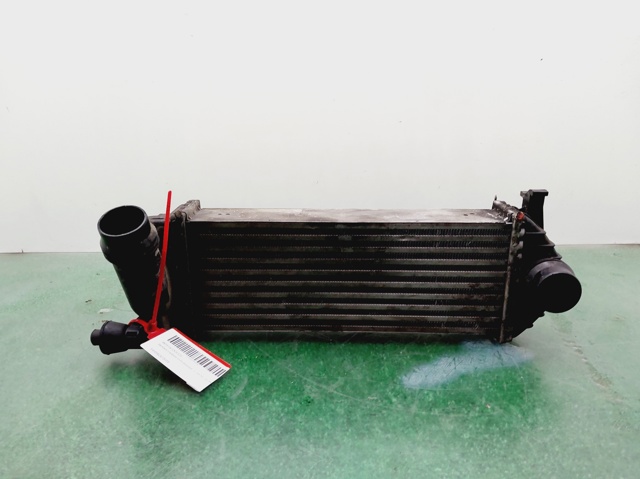 144963234R Renault (RVI)