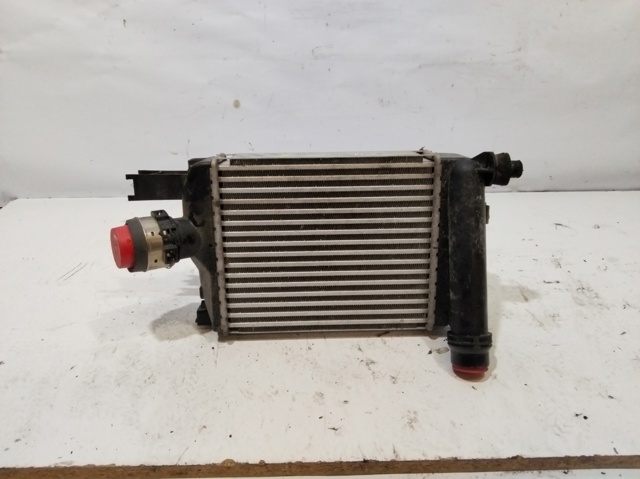 Radiador de aire de admisión Renault DUSTER 2 HM