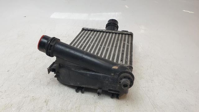 Radiador de aire de admisión Renault DUSTER 2 HM