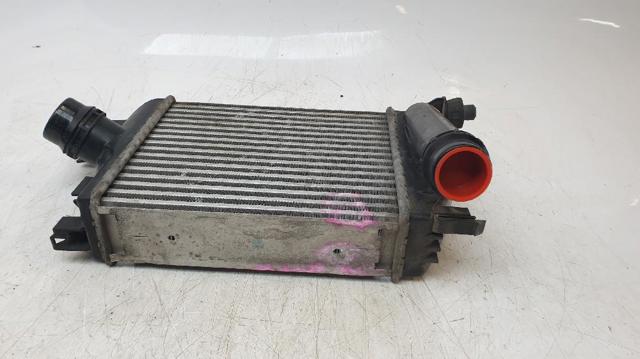 Radiador de aire de admisión Renault DUSTER 2 HM