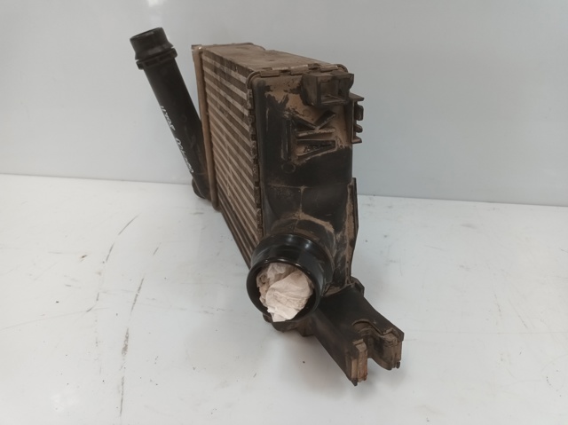 RENAULT 144967634R Intercooler  en stock Salamanca