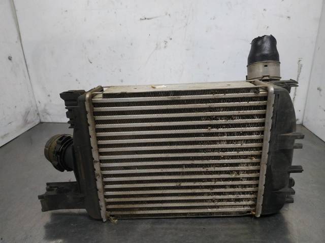 Radiador de aire de admisión Renault DUSTER 2 HM