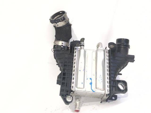 144967867R Renault (RVI)