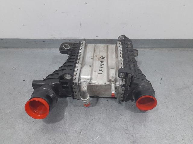 144967867R Renault (RVI)