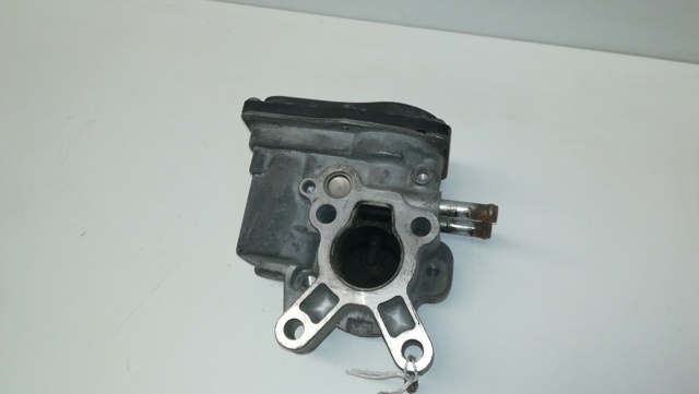 Válvula, AGR Nissan Cabstar F24M