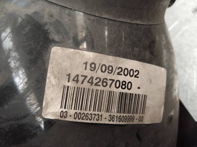 Luz derecha Peugeot Expert  (1996-2006)