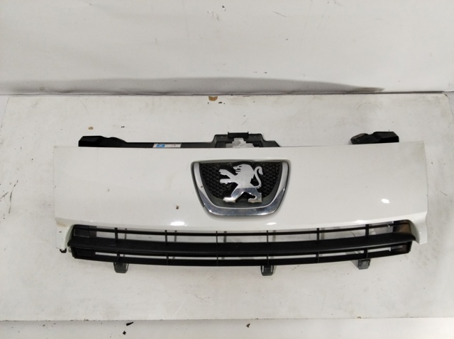 1497644077 Peugeot/Citroen