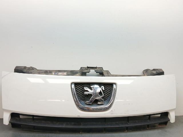 1497644077 Peugeot/Citroen