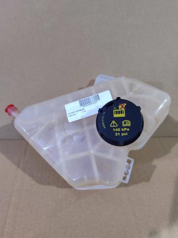 Botella expansion Ford Fiesta VI desde 28,03 €