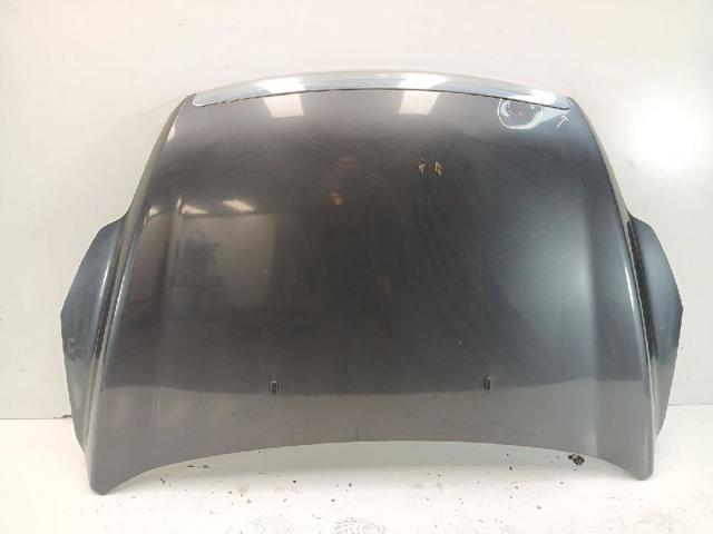 Capó del motor Ford Focus II desde 200,38 €