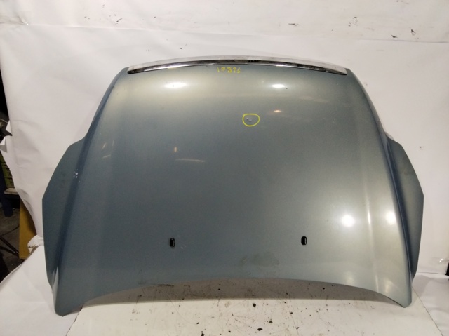 FORD 1521601 Capó  en stock Valencia