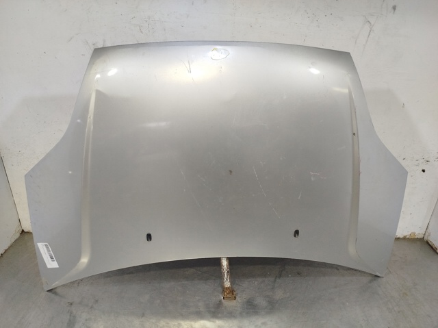 Capó delantero Ford Fiesta V (2001-2008)