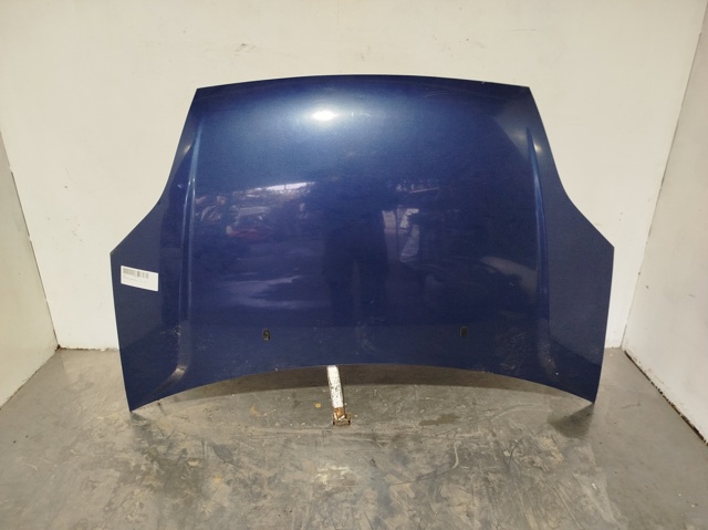 Capot Fiesta V hatchback (2001-2008) original desde 185,57 €