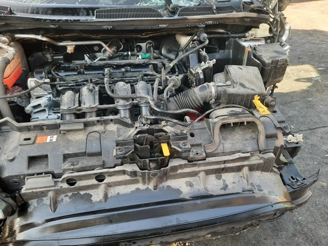 Refrigeración del motor Ford Fiesta VI (2008-2016)