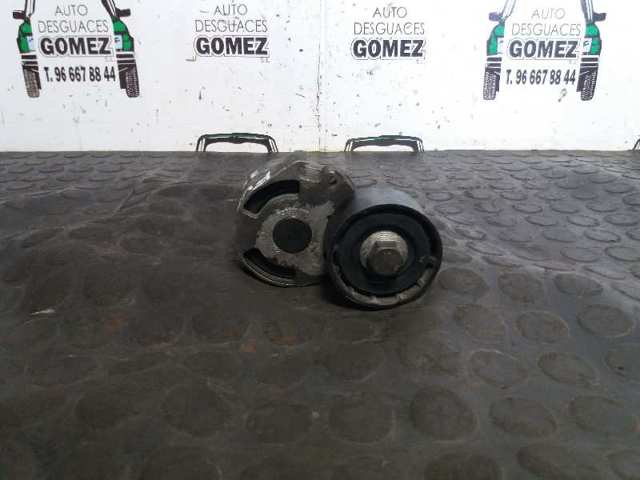Rodillo tensor cadena Citroen C4  (UD)