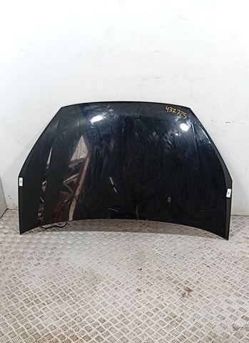 Capot para Ford Galaxy  (WA6)