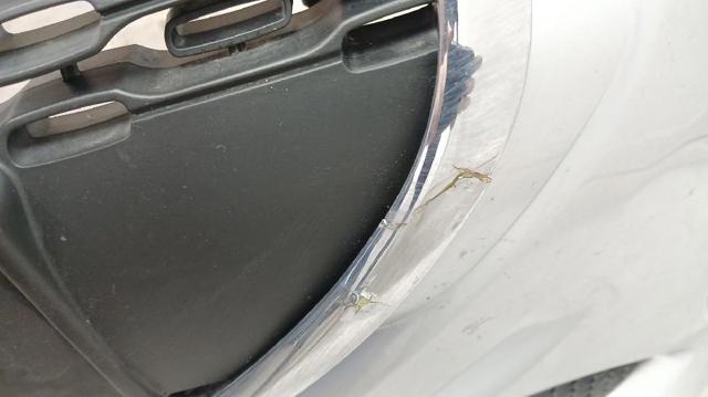 PEUGEOT 1607397880 Paragolpes  en stock Valencia