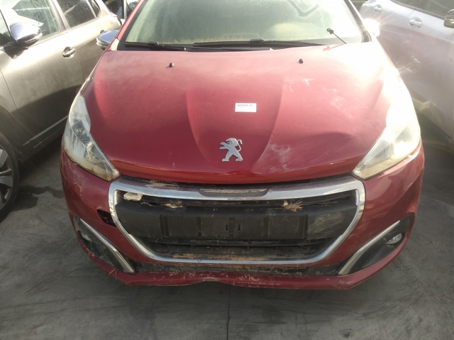 1607397880 Peugeot/Citroen