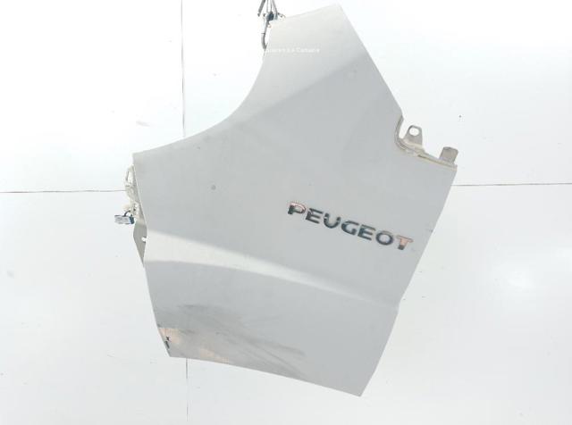 1610458580 PEUGEOT Aleta delantera izquierda  disponible Ourense