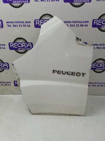 1610458580 Peugeot/Citroen