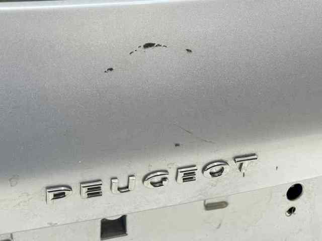 PEUGEOT 1610669880 Puerta trasera comprar Barcelona