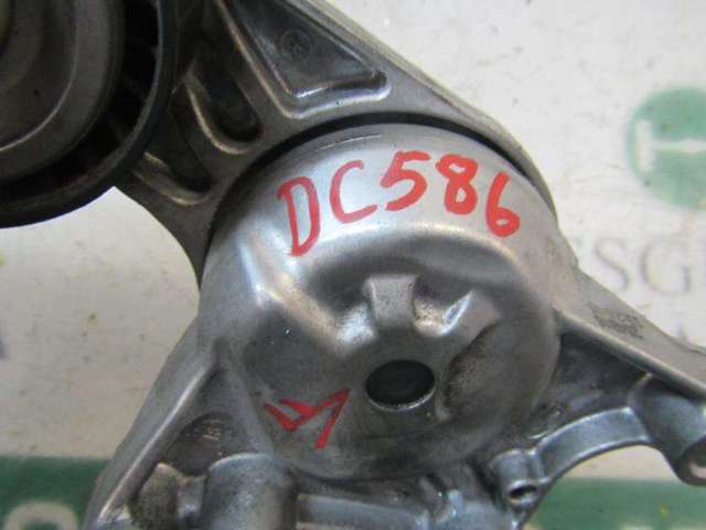 1611503780 Tensor de correa poli V  en stock Sabadell