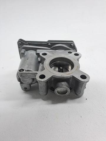 161206038R Cuerpo de mariposa  en stock Castellón