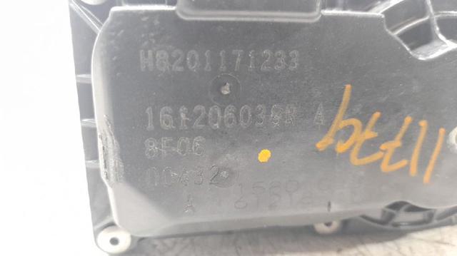 161206038R Cuerpo de mariposa completo  comprar en Zaragoza