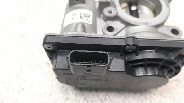 161206038R Cuerpo de mariposa comprar Sevilla