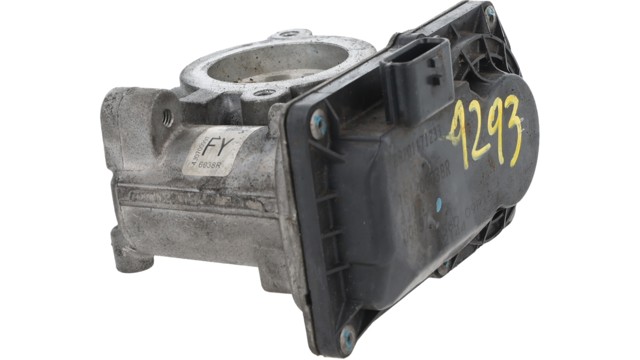 161206038R Cuerpo de mariposa completo  comprar en Pontevedra