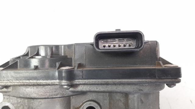 161206038R Cuerpo de mariposa completo  disponible Burgos