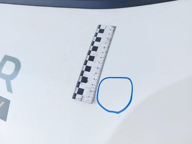 1612246980 Capó  comprar en Zaragoza