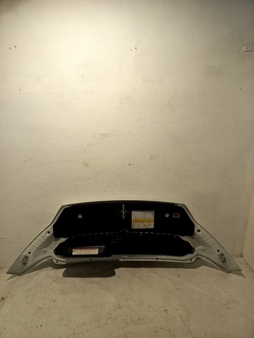 PEUGEOT 1612246980 Capó  en stock Salamanca