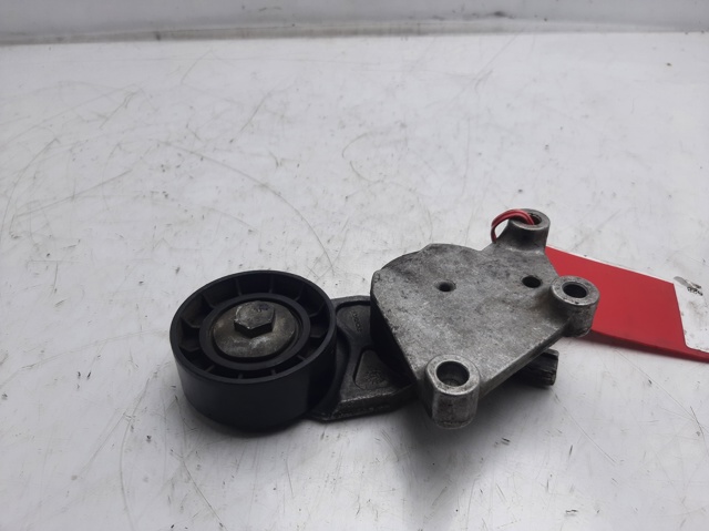 1613837980 Peugeot/Citroen