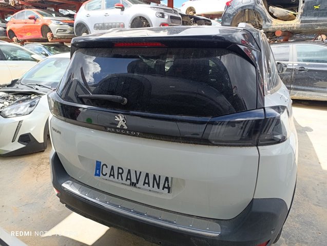 1619267580 Peugeot/Citroen