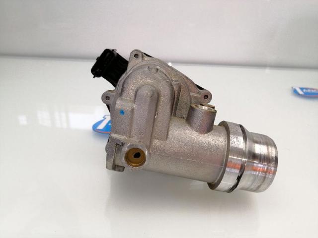 RENAULT 161A09287R Cuerpo de mariposa completo  comprar en Murcia