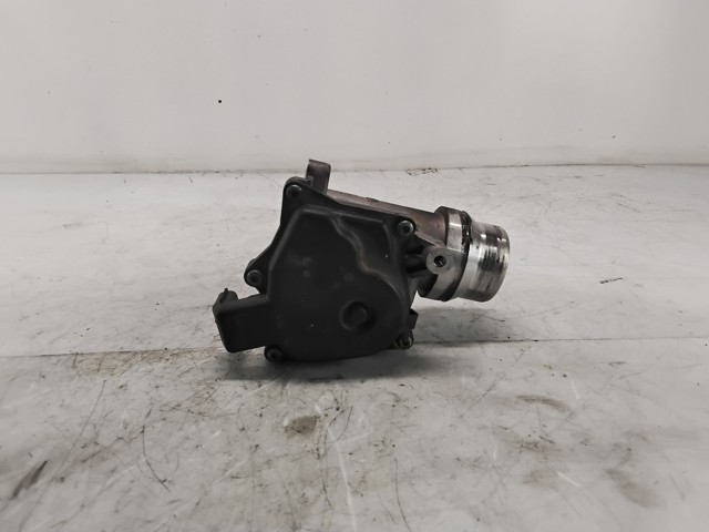 161A09287R Cuerpo de mariposa completo  comprar en Zaragoza