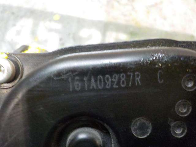 161A09287R Cuerpo de mariposa comprar Almería