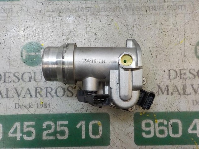 RENAULT 161A09287R Cuerpo de aceleración completo  comprar en Murcia