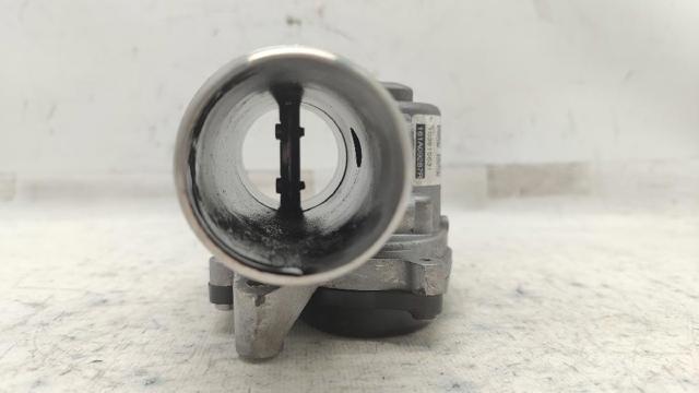 161A09287R Cuerpo de mariposa completo  disponible Málaga