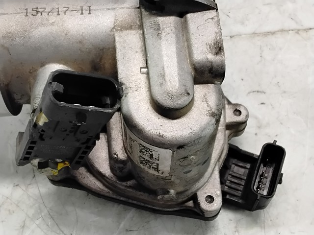 161A09287R Cuerpo de mariposa completo  comprar en Pontevedra