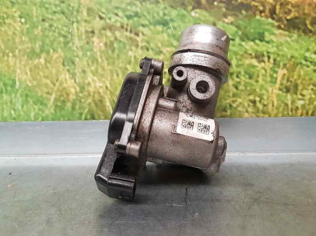 161A09794R NISSAN Cuerpo de mariposa comprar Alcalá